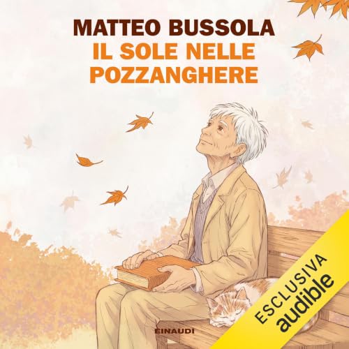 Copertina dell'audiolibro Il sole nelle pozzanghere